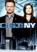 CSI: Место преступления Нью-Йорк 