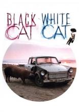 Черная кошка, белый кот